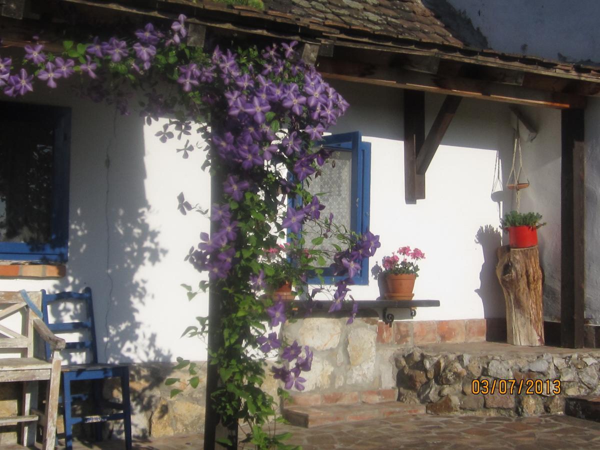 Guest House Vila Albedo Varna Kültér fotó